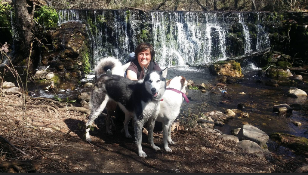 duelo animal, perdida animal